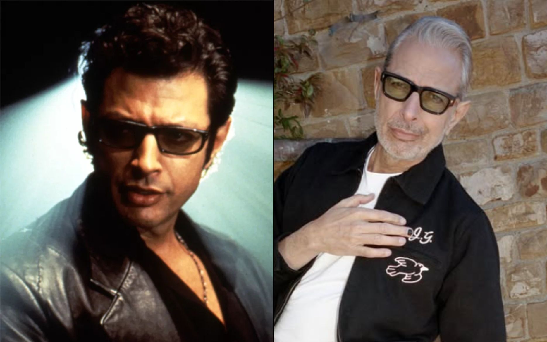 Jeff Goldblum em Jurassic Park e atualmente