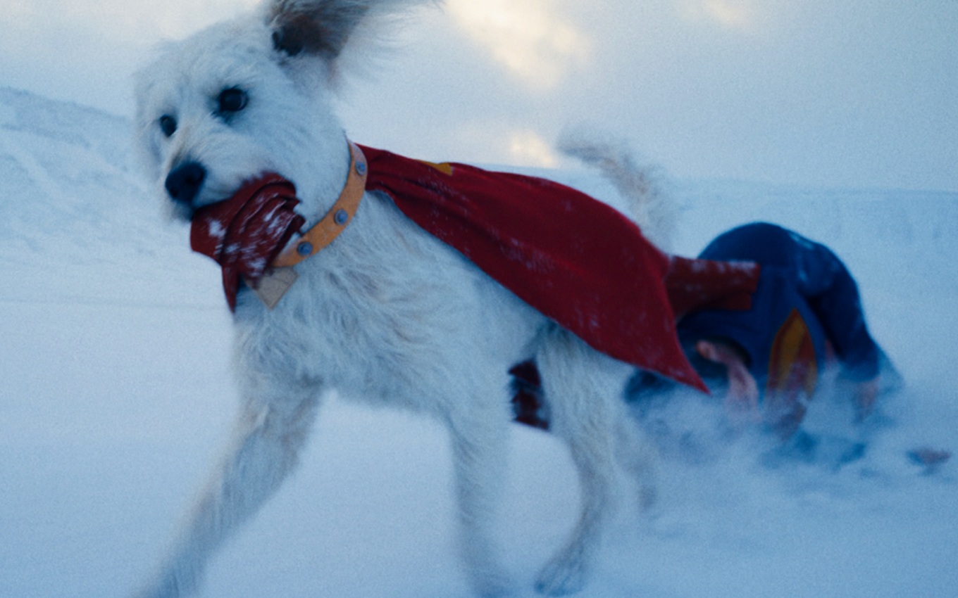 Krypto em cena de Superman
