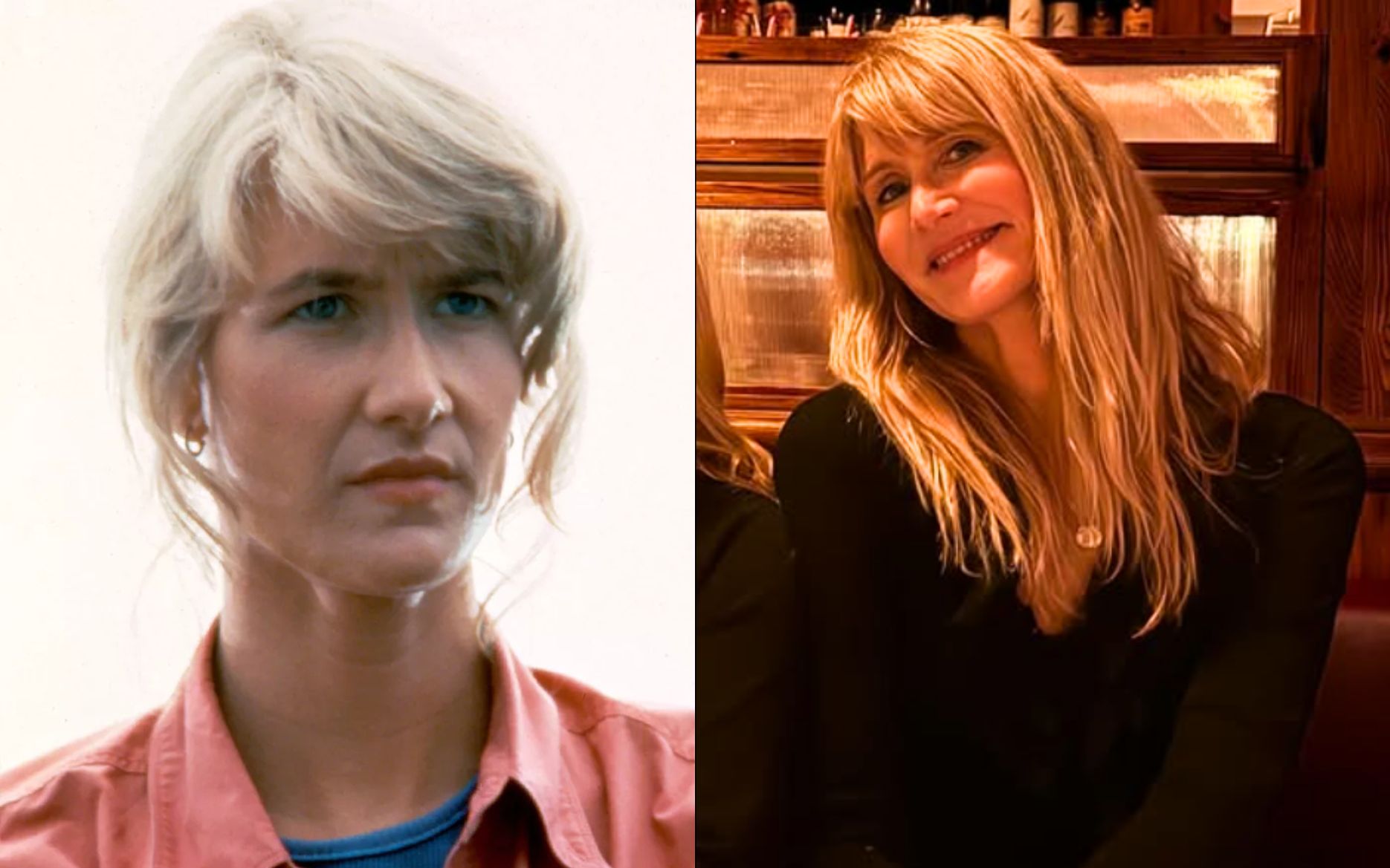 Laura como a Ellie Sattler de Jurassic Park e a atriz atualmente