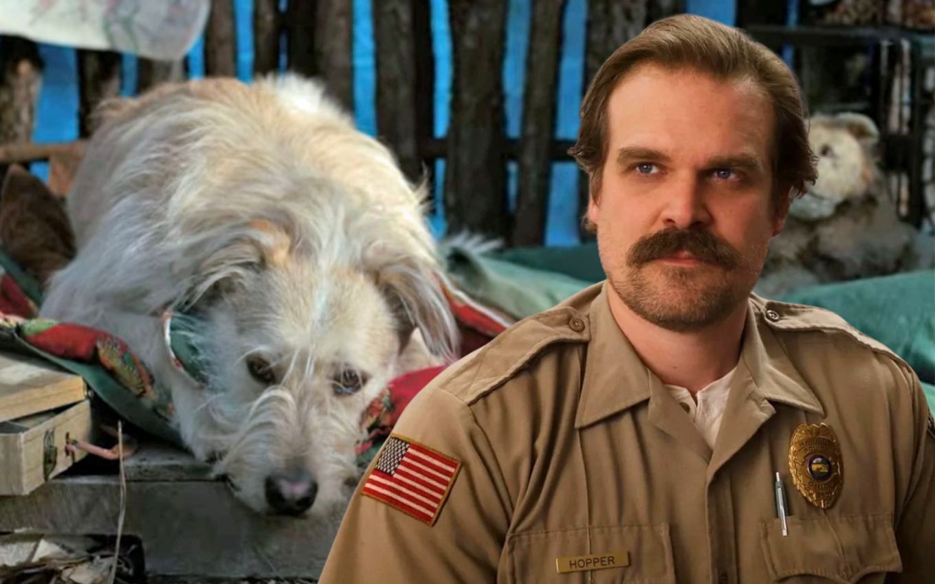 Morte de Chester, o cachorro de Stranger Things, tem a ver com David Harbour